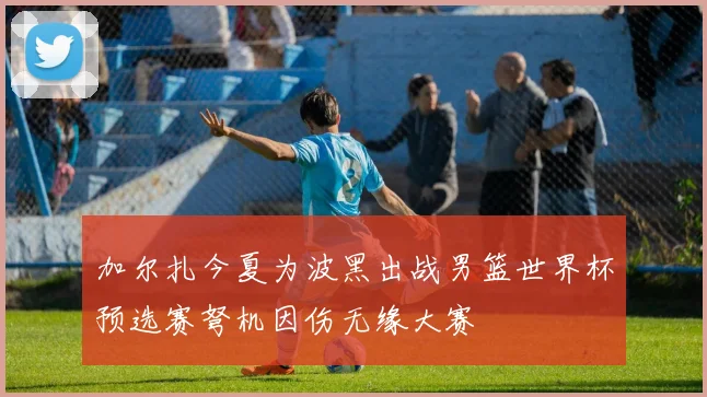 加尔扎今夏为波黑出战男篮世界杯预选赛弩机因伤无缘大赛